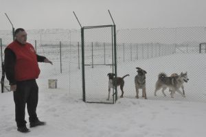 Mihai Dragoş Oţetea: „Pentru mine recuperarea comportamentală  a  unui câine este cea mai mare provocare”