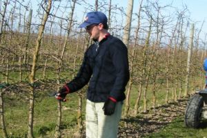 Jumătate de milion de euro pentru fermierii cu proiecte inovative din mediul rural