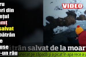 Patru tineri din Neamţ au salvat un bătrân care căzuse într-un râu