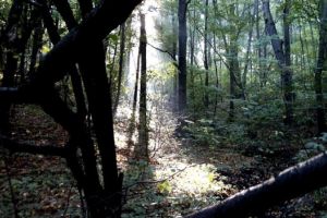 Locul cel mai misterios din Europa este în România. ”Este chiar mai straniu decât ne putem imagina”