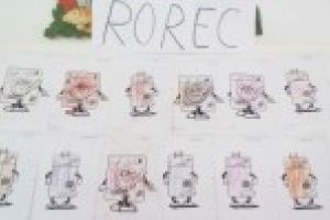 Galerie Foto : Patrula de reciclare de la Gradinita cu P.P. Nr.51 ,,Aschiuta” ataca…deseuri electrice