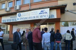 Oferta de locuri de muncă disponibilă în baza de date a AJOFM Dâmboviţa