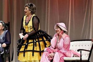 Spectacolul ”Gaiţele” se va juca la începutul lunii martie, pe scena Casei de Cultură a ...