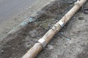 Stâlpi de telecomunicaţii doborâţi de un grup de hoţi de lemne