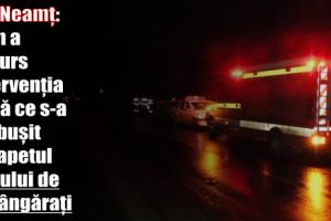 ISU Neamţ: Cum a decurs intervenţia după ce s-a prăbuşit parapetul podului de la Pângăraţi