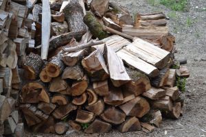 Patru săteni din Zetea au furat scânduri şi lemn de foc din gospodăria unui consătean