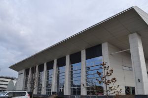 Echipa României care va participa la Jocurile Olimpice de Iarnă din Coreea de Sud, prezentată miercuri, la Izvorani