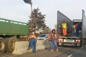 Lucrarile de montare a parapetului de beton pe DN3 Constanta - Valu lui Traian, in plina desfasurare (galerie foto)