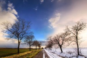 Vreme de primăvară în această săptămână. În februarie revin precipitaţiile