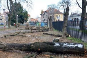 Parcul politrucilor: BIHOREANUL vă arată cum a fost transformat parcul Nicolae Bălcescu în 