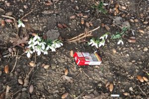 Aşa arată Aradul anului 2018: ne înghit GUNOAIELE! Pachetele goale de ţigări sunt vestitorii primăverii