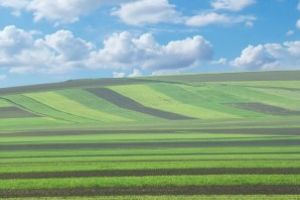 Fermierii vasluieni au cerut ajutor specialiştilor OSPA