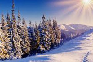 Estimarea evoluţiei valorilor termice şi a precipitaţiilor până pe 11 februarie 2018