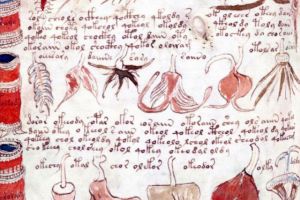 Un computer a descifrat cel mai misterios manuscris din lume. Ce scrie in primul rand al textului