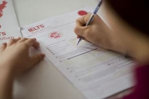 Noutăţi la Centrul Lingvistic “Medlingua”