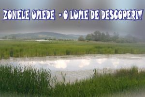 “Zonele Umede – O lume de descoperit”