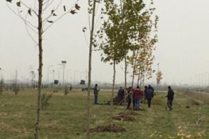 Asistaţii social din Ploieşti, trimişi la muncă la Parcul Municipal Vest, Hipodrom, Sala Sporturilor şi Stadion