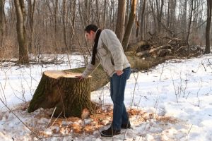Un sătean s-a apucat de doborât arborii din proprietatea unei primării