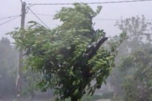 VREMEA. ANM, avertisment de ultimă oră. RAFALELE de VÂNT ating viteze AMEȚITOARE