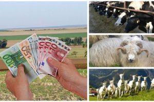 LISTA subvenţiilor pe care APIA le plăteşte fermierilor