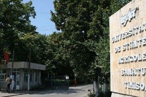 Mediul universitar ramane impartit in problema scrisorii de sustinere a ministrului Educatiei