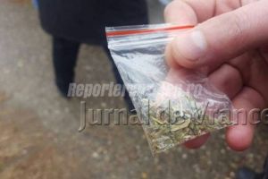 Prinşi în flagrant în timp ce vindeau etnobotanice