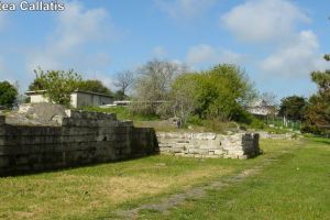 Callatis si callatienii in izvoarele istorice scrise (I) 