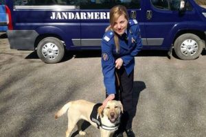 De la profesia de învăţător la cea de jandarm operativ ordine publică