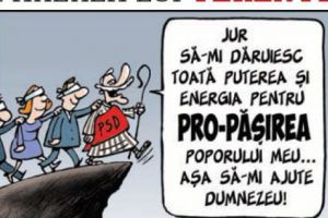 Părerea lui Terente