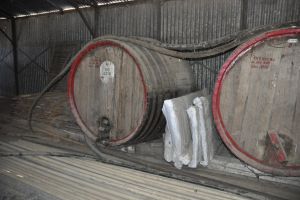 Ce a fost şi nu mai este. Povestea vinului băcăuan (III)