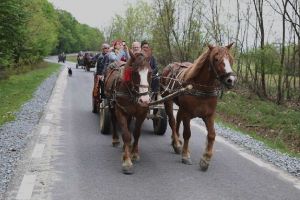 Timisul, la Targul de Turism al Romaniei, cu un stand de peste 40 de metri patrati
