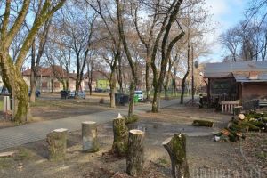 Drujbaşii de pe Criş