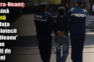 Piatra-Neamţ: Maşină furată din faţa bibliotecii „Kirileanu” de un puşti de 15 ani