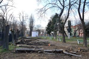 Şeful Gărzii de Mediu despre defrişarea Parcului Bălcescu: Vom sancţiona Primăria şi o vom obliga să întreţină spaţiile verzi „pe lege”