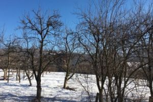 PROGNOZA METEO pentru URMĂTOARELE ZILE- Vreme frumoasă, 19 grade în sudul Munteniei şi al Dobrogei