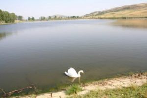 Vineri – Ziua Mondială a Zonelor Umede