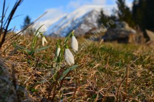 METEO: Vremea va fi cu mult mai caldă decât în mod obişnuit la începutul lunii februarie