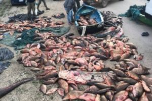 Valcean, prins la braconaj în Italia