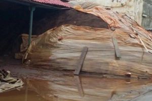 Plumbul de la Șoimuş s-a blocat în Constanţa. Procurorii constănţeni protejează mediul chinez