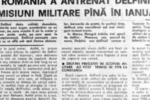 Delfini antrenaţi pentru misiuni ale Marinei Militare Române