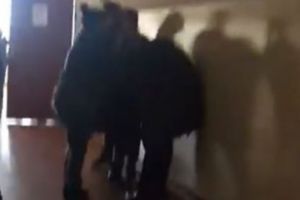 MAMELE care au agresat un elev în şcoală, REȚINUTE de poliţiştii din Constanţa   