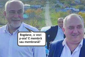 Bun e vinu, nu-i ca berea!