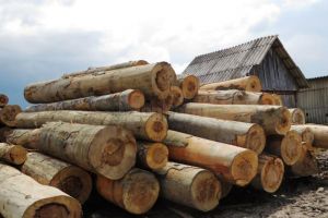 Amenzi de 60.000 de lei şi un prejudiciu de peste 100. ...