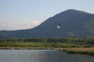 Complexul Piscicol Dumbrăviţa – o comoară a naturii de lângă noi