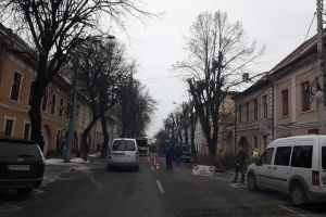 Crengile copacilor de pe strada Dornei, tăiate aproape până la trunchi (FOTO)
