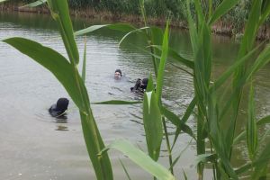 BREAKING NEWS/ A fost găsit trupul bărbatului care a sărit cu maşina în lacul de la Ghioroc