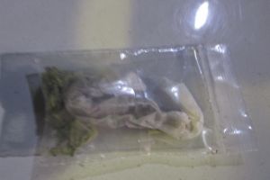 Tineri teribilisti prinsi cu etnobotanice in centrul Timisoarei