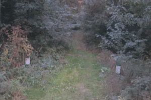 Anunţ public privind depunerea solicitării de emitere a acordului de mediu Direcţia Silvică Prahova, Ocolul Silvic Ploieşti