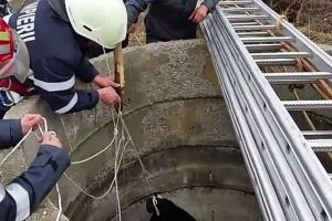 Bătrân de 70 de ani, găsit mort într-o fântână din Urmeniş (FOTO)