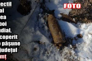 Proiectil din al Doilea Război Mondial, descoperit pe o păşune din judeţul Neamţ
